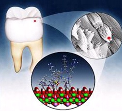 cientificos japoneses crean esmalte dental artificial