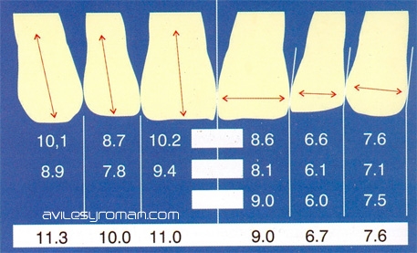 th_09f334b891e446e9718eb3aca0f83276_tamanodientes